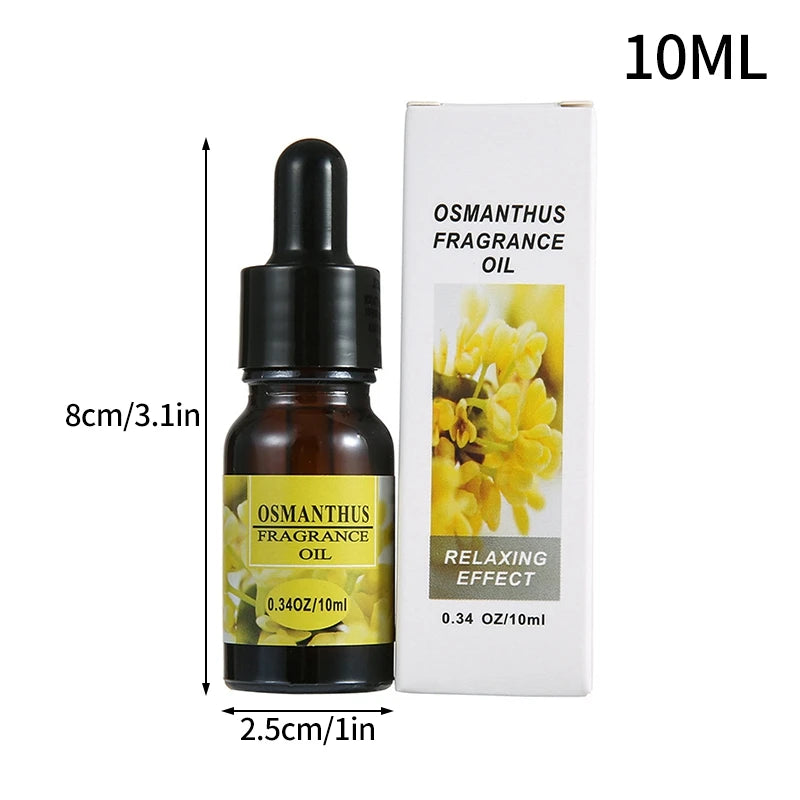 AromaDrop™ Essential Oil with Precision Dropper – Natural Plant Extracts